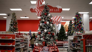 Si aún no tienes tu árbol de Navidad, aprovecha el Black Friday para comprarlo con más del 50% de descuento. Aquí las mejores ofertas.