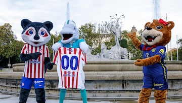 Las mascotas en la plaza de Neptuno.