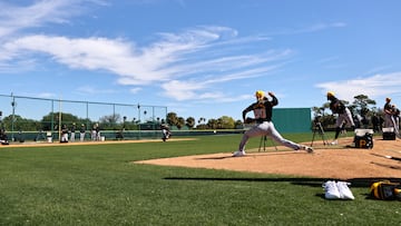 Pittsburgh Pirates relief pitcher Carmen Mlodzinski (50).