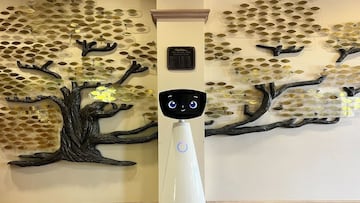 Meet Robin, the robotic friend powered by AI that helps children through hospital care