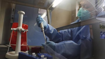 Localizan las fragilidades del coronavirus