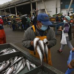 Curva y mapa de casos, contagios y muertes por región en Chile, hoy, sábado 3 de abril