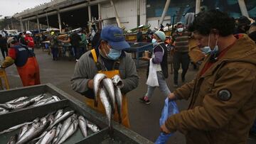 Curva y mapa de casos, contagios y muertes por región en Chile, hoy, sábado 3 de abril