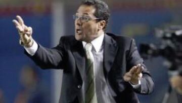 <b>OPCIÓN. </b>Vanderlei Luxemburgo dirigiendo un partido.
