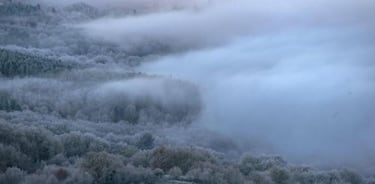 Propósitos y retos de año nuevo para 'Sin Cadena' en 2021