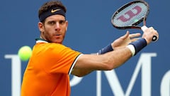 Por qué Del Potro no juega la Copa Davis en Madrid con Argentina