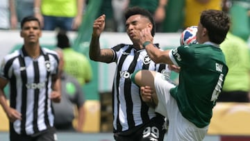 Palmeiras - Botafogo, en vivo: Mundial de Clubes, hoy en directo