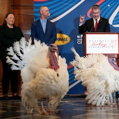 These are Gobble and Waddle, the turkeys Donald Trump will pardon in 2025: How much do they weigh?