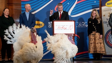 Get to know this year’s pardoned turkeys, as well as why this strange tradition happens at all.