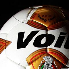 Liga de Expansión MX: 17 equipos; 12 calificarán a fase final