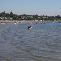 La ola de calor de Canadá y EE UU deja 140 fallecidos