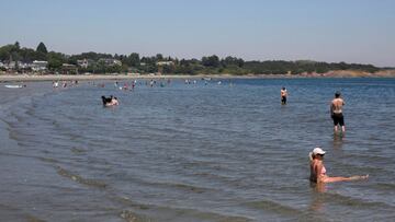 People look for ways to cool off at Willow's Beach during the 'heat dome,' currently hovering over British Columbia and Alberta as record-setting breaking temperatures scorch the province and in Victoria, British Columbia, Canada June 28, 2021. REUTERS/Chad Hipolito