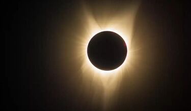 Eclipse Solar Total 2024: ¿cómo afectará al comportamiento de perros y gatos?