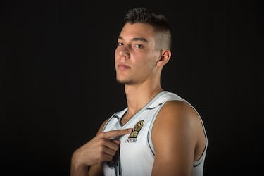 Canterano del Real Madrid, Pablo Laso le hizo debutar con el primer equipo en octubre de 2012 (ante el Valladolid). Tras pasarse dos temporadas cedido en Sevilla, en su vuelta a Madrid, ganó la Liga y la Copa en 2016. Ese verano dio el salto a la NBA donde jugó siete temporadas (Knicks, Hornets y Pelicans). En 2022 decide volver a España, donde acepta una oferta suculenta del Barça. El Real Madrid no acude al tanteo para igualar la oferta y Willy se compromete con el equipo azulgrana por tres temporadas.