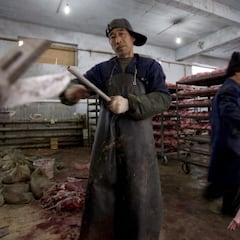 Hallan en granjas de China decenas de virus de “alto riesgo”