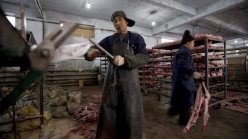 Hallan en granjas de China decenas de virus de “alto riesgo”