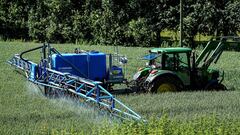 ¿Qué es el glifosato, el polémico herbicida aprobado en Europa? “Es volver al pasado”