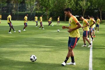 La Selección Colombia jugará este viernes, a partir de las 2:15 p.m., hora colombiana, el amistoso contra Egipto en Bérgamo, Italia.