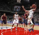 El Madrid, favorito en la Final Four para los lectores de AS