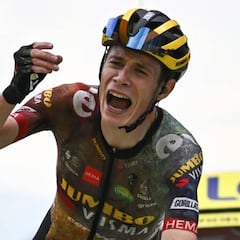 Vingegaard tumba a Pogacar