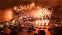 Fireworks explode over Sydney Harbour during the New Year's Eve celebrations in Sydney, Australia, January 1, 2023. REUTERS/Jaimi Joy