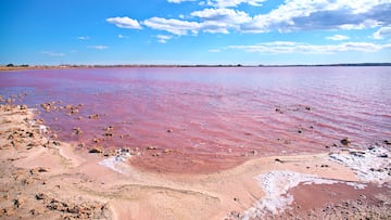 Lake Karachay in Russia is known as the most polluted place on Earth.