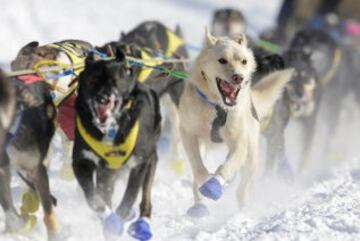 Iditarod: 1.000 km por el desierto de hielo de Alaska