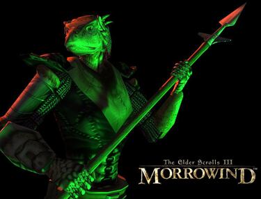 The Elder Scrolls III: Morrowind (PC)