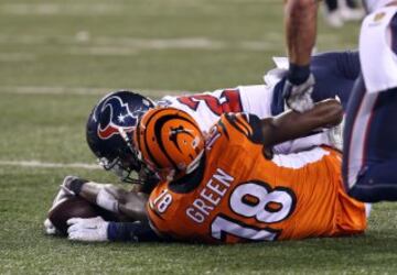 A.J. Green fue el receptor m¨¢s destacado de los Bengals, con 5 recepciones para 63 yardas. Le siguieron Marvin Jones y Gio Bernard, con 44 y 43 yardas respectivamente.