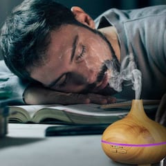 ¿Qué humidificador elegir? Te damos las claves