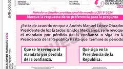 Revocación de Mandato: qué se vota y por qué