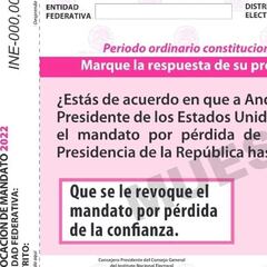 Revocación de Mandato: qué se vota y por qué