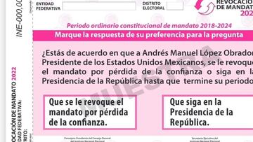 Revocación de Mandato: qué se vota y por qué