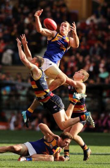 AGOSTO 2014. Partido de Rugby entre los West Coast Eagles y los Adelaide Crows en Adelaide, Australia.