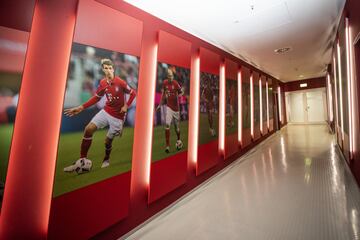 Descubre las entrañas del Allianz Arena