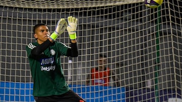 Preocupación por le presente de los arqueros de la Selección Colombia antes del cierre de las Eliminatorias.