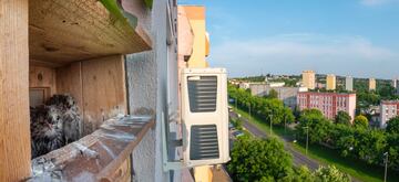 Categoría: Aves urbanas. GANADOR DEL PREMIO DE PLATA.
El propietario de este apartamento instaló una caja nido entre los parterres de flores de su terraza, y los cernícalos comunes encontraron allí un hogar adecuado. Los cernícalos se han urbanizado debido a la abundancia de alimentos en las ciudades y a la
presencia de edificios altos que se utilizan para anidar. Al instalar cajas nido similares, podemos crear condiciones
más favorables para ellos. Utilicé un objetivo gran angular para tomar varias fotografías, que luego uní para
crear una panorámica. Como resultado, se puede ver el entorno urbano detrás de las aves.
Panasonic Lumix G9 con objetivo macro Laowa 14 mm f/4. 15 mm; 1/640 s; f/32; ISO 500.