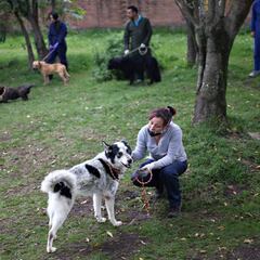 Excepciones para hombres y mujeres durante el pico y género en Bogotá
