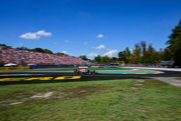 Max Verstappen, piloto holandés de Red Bull Racing.