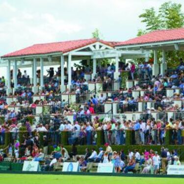 Polo: de la minoría elitista, 'el deporte de los reyes'