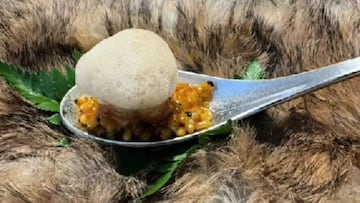 TikTok (anatomiadelgusto)