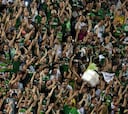 Conmebol suspende actividades por tragedia de Chapecoense