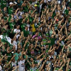 Conmebol suspende actividades por tragedia de Chapecoense