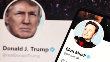 Trump y Musk