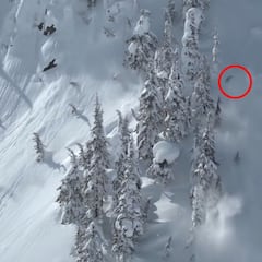 La avalancha que estampó contra los árboles y enterró a McNutt