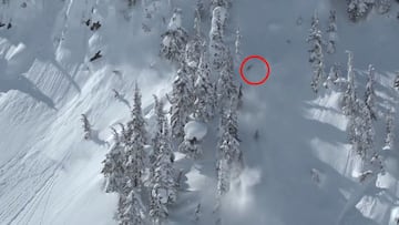 El esquiador Nick McNutt estampándose contra un árbol por culpa de una avalancha en 2019.