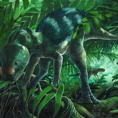 Científicos descubren un nuevo dinosaurio en España que revoluciona la evolución y llena un vacío en la historia