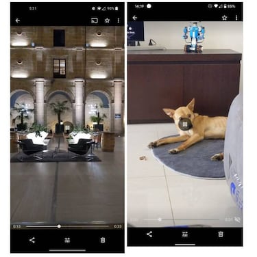 Google Fotos por fin añade un botón para silenciar videos
