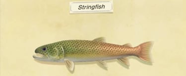 Animal Crossing: New Horizons: todos los peces y bichos que se marchan en marzo