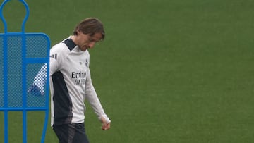 El video viral de Luka Modric pelando contra un tigre